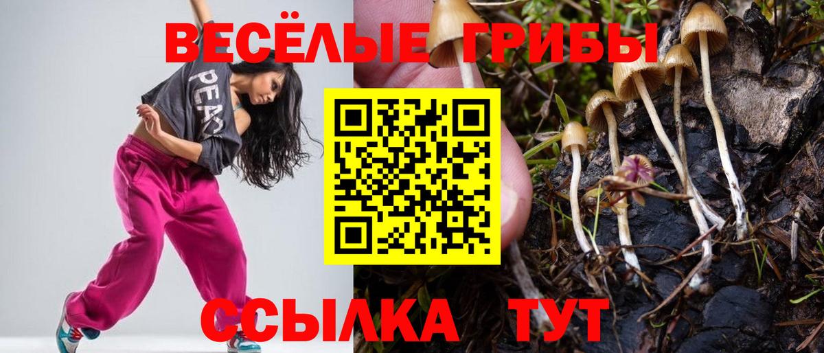 Псилоцибиновые грибы ЛСД Гурьевск
