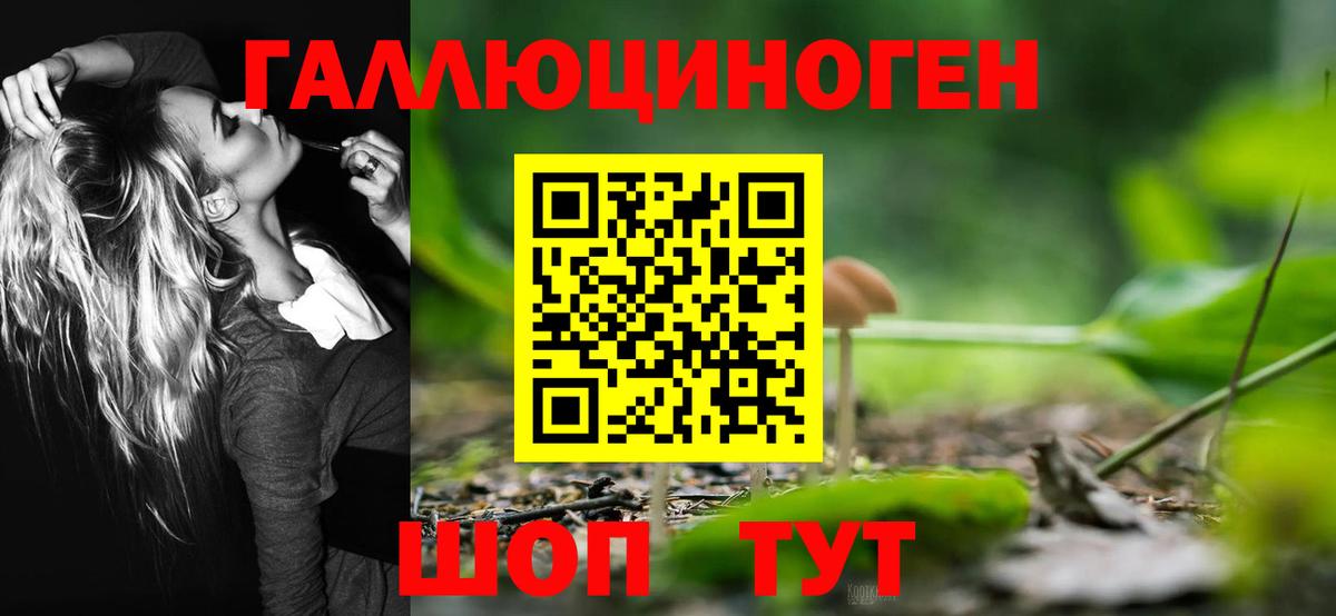 купить наркотик  Вход с VPN  Гурьевск  Галлюциногенные грибы ЛСД 